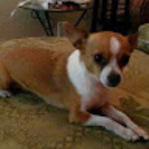 Meet your Posher, Gary